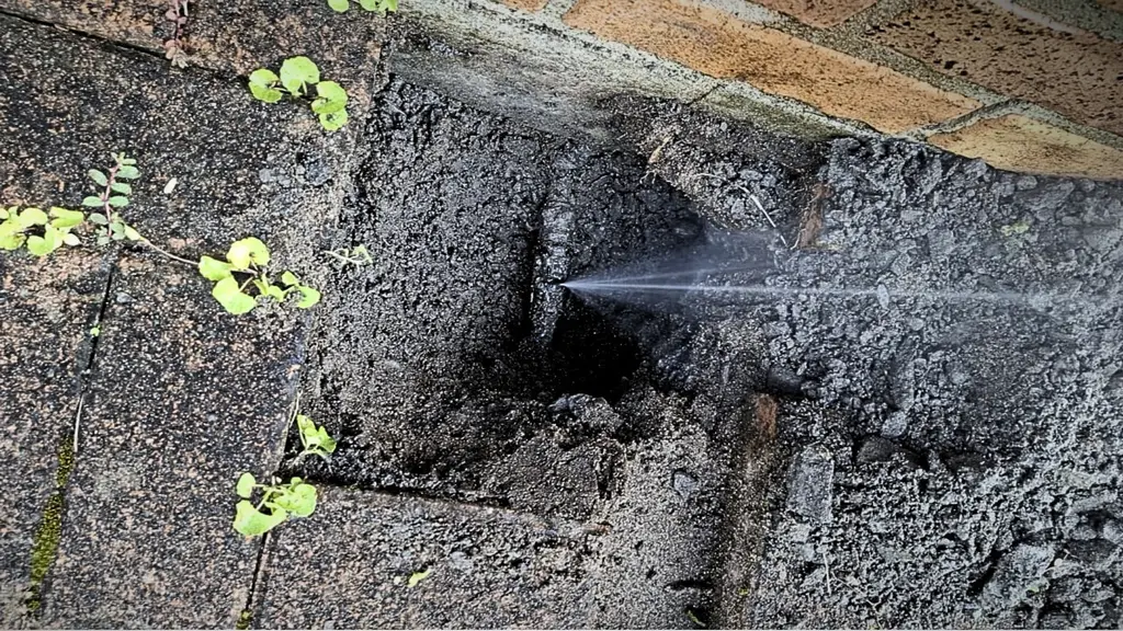 Plumber attending a maintenance job at a Hamilton rental property