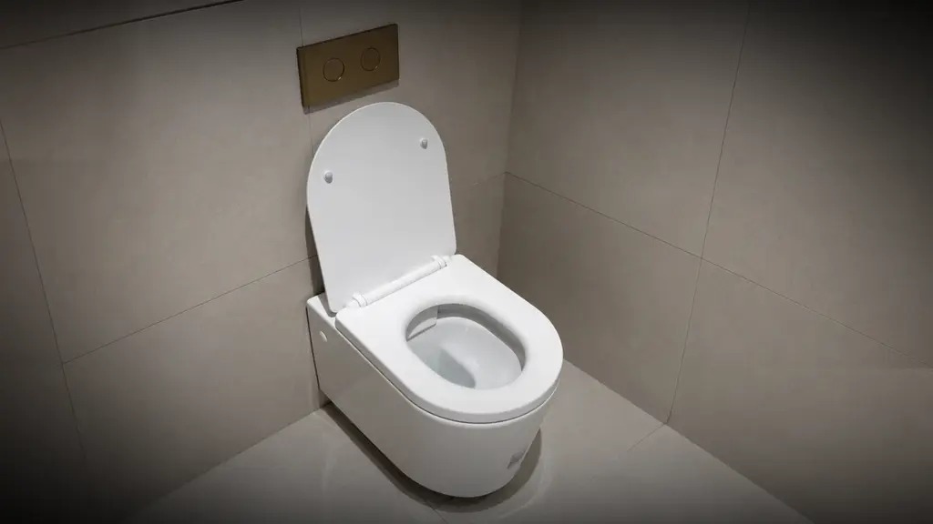 Plumber repairing a toilet cistern in a Hamilton bathroom